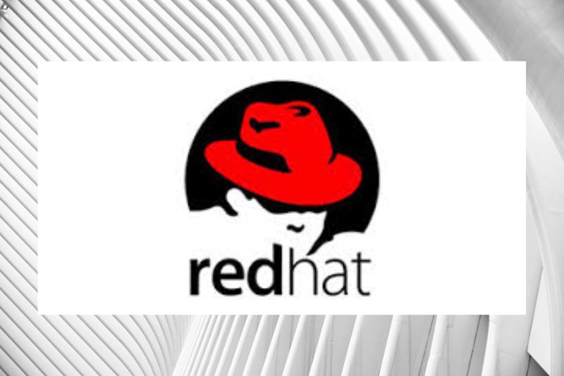 Red Hat Delivers Accessible, Open Source Generative AI Innovation with Red Hat Enterprise Linux AI