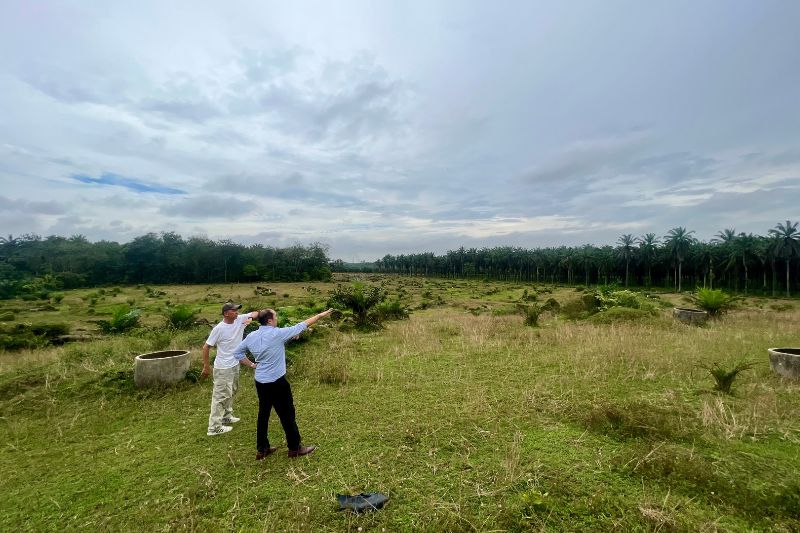 Tan and his associate overlooking the land for upcoming CFE farms